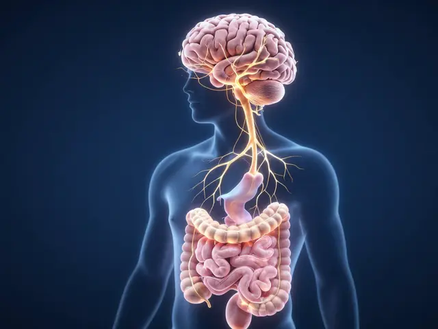 Jak si uzdravit střeva: Praktický průvodce pro zdravé trávení a imunitu